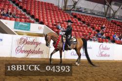 18BUCK_04393 proof