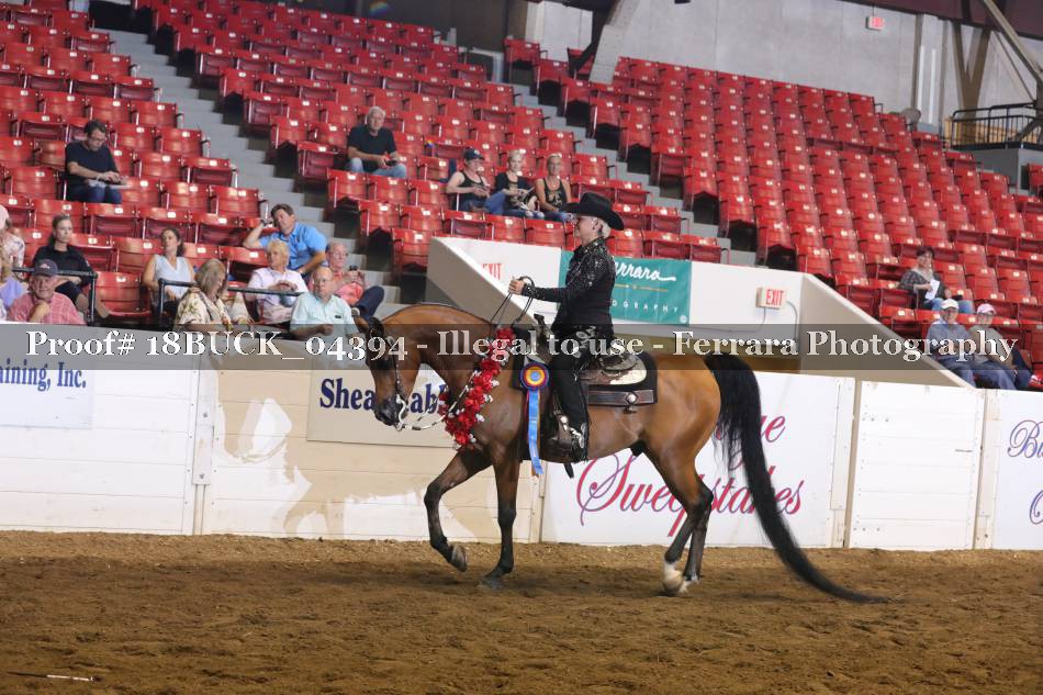 Proof 18BUCK_04394