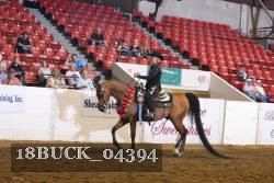 18BUCK_04394 proof