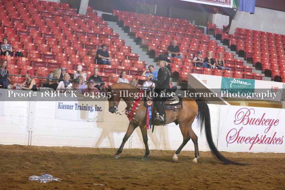 Proof 18BUCK_04395
