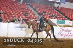 18BUCK_04395 proof