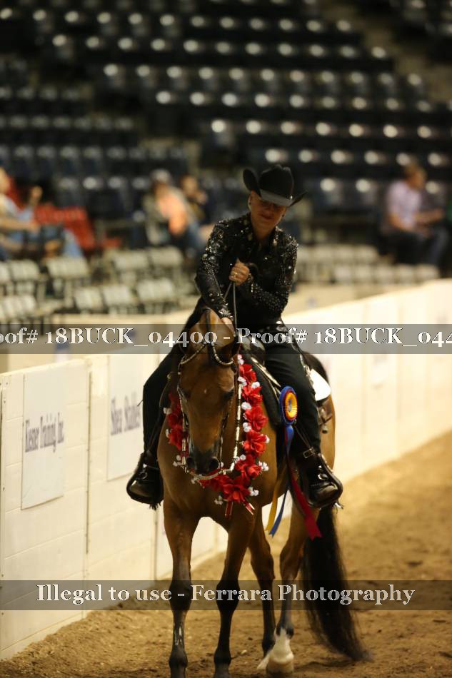 Proof 18BUCK_04400