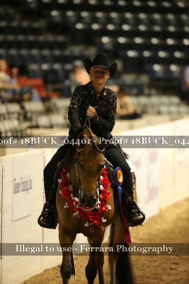 Proof 18BUCK_04401