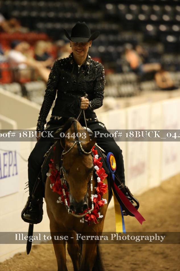 Proof 18BUCK_04403