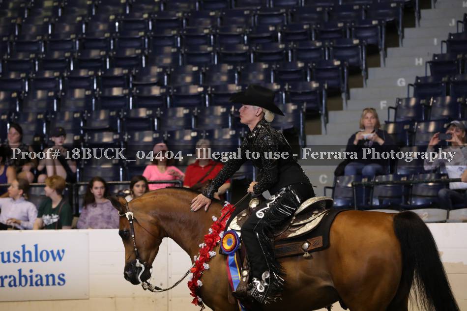 Proof 18BUCK_04404