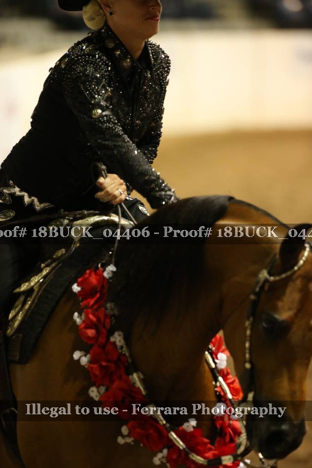 Proof 18BUCK_04406