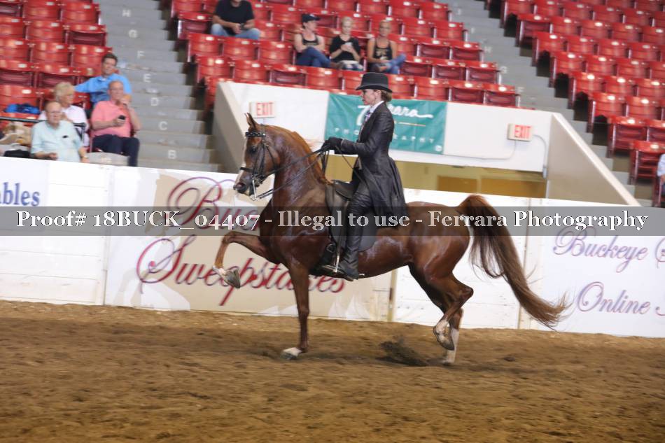 Proof 18BUCK_04407