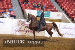 18BUCK_04407 proof