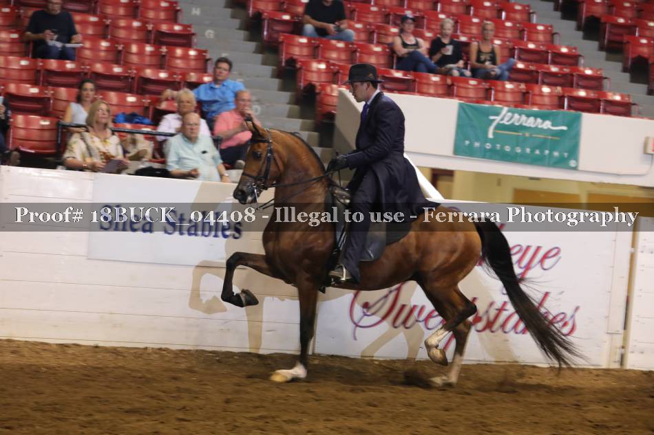 Proof 18BUCK_04408