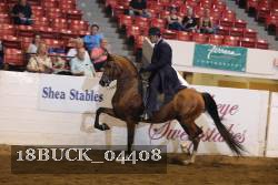 18BUCK_04408 proof