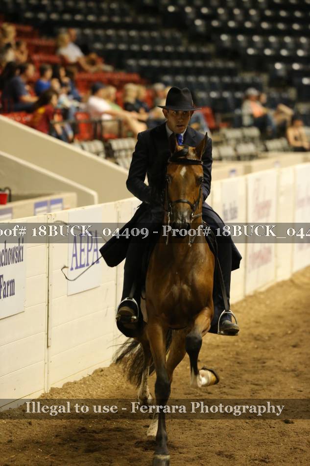 Proof 18BUCK_04409