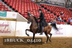 18BUCK_04410 proof