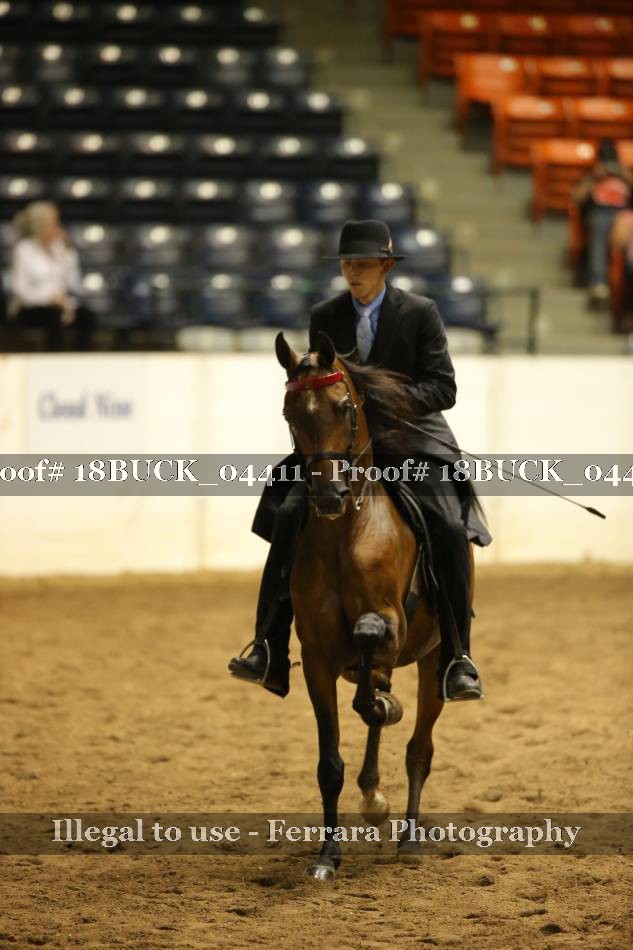 Proof 18BUCK_04411