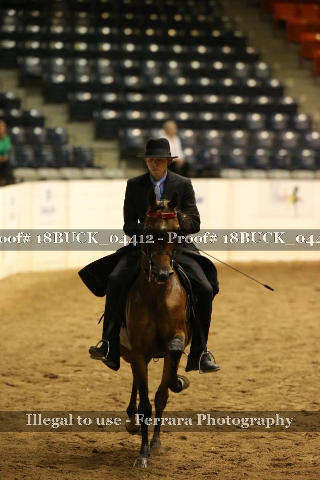 Proof 18BUCK_04412