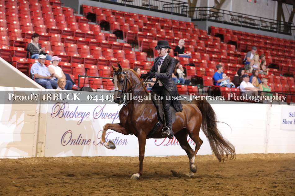 Proof 18BUCK_04413