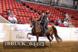 18BUCK_04413 proof