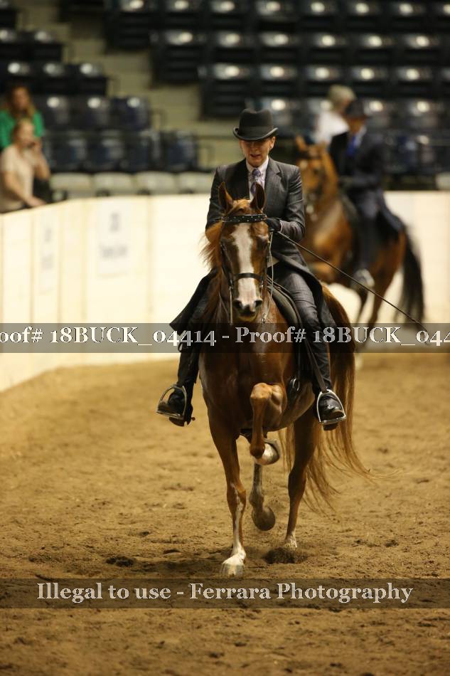 Proof 18BUCK_04414