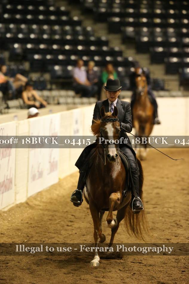 Proof 18BUCK_04415