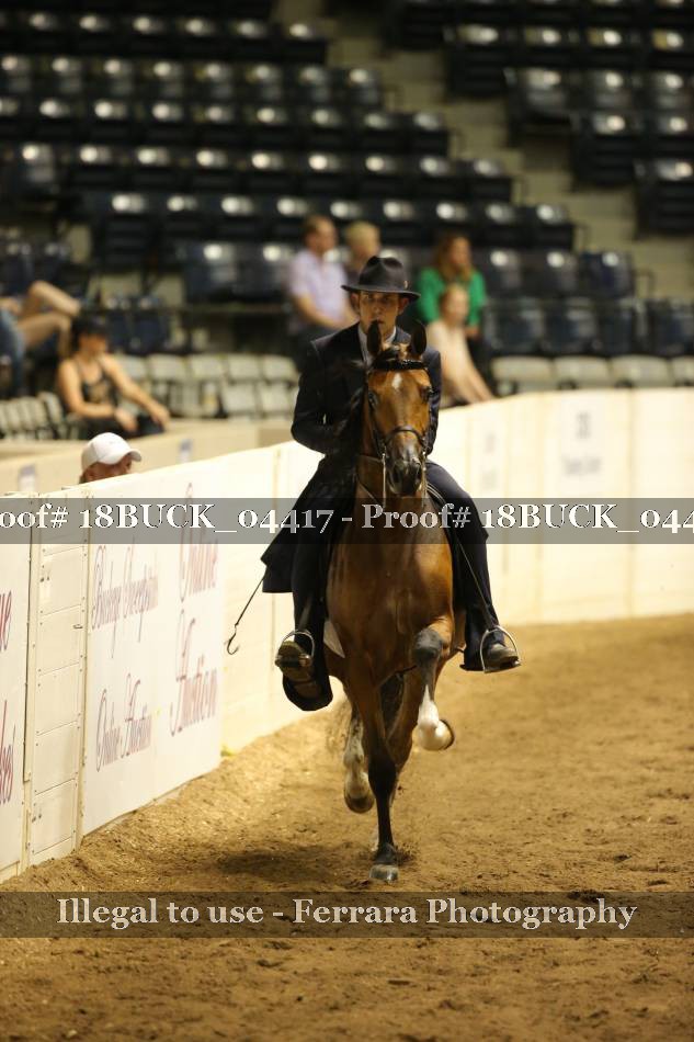 Proof 18BUCK_04417