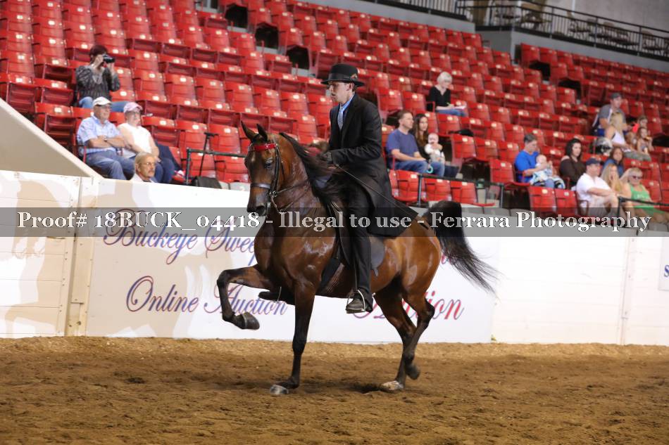 Proof 18BUCK_04418
