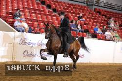 18BUCK_04418 proof
