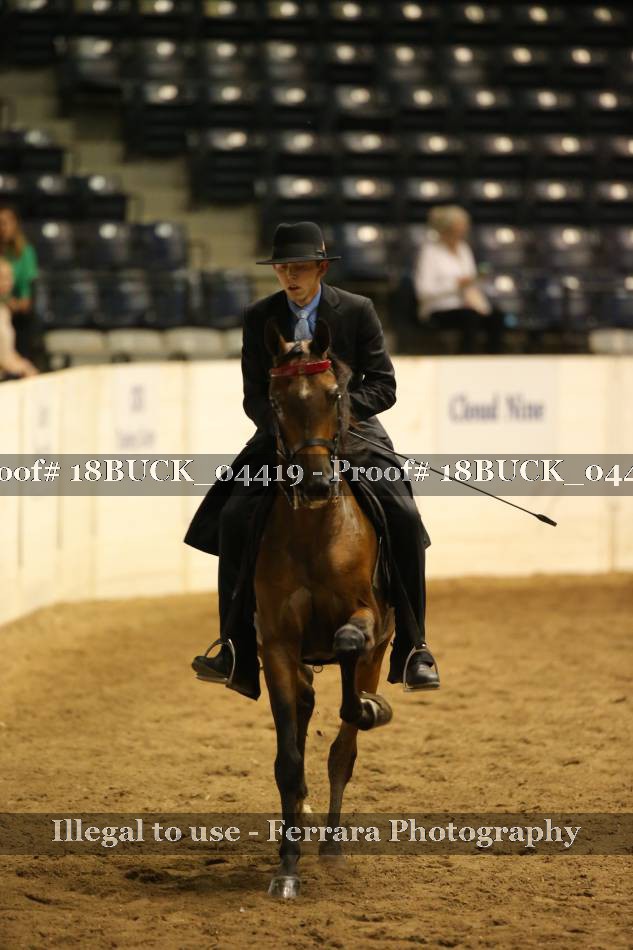 Proof 18BUCK_04419