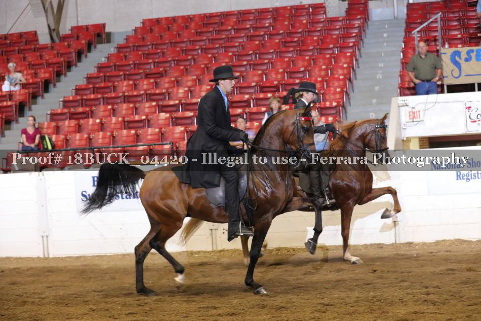 Proof 18BUCK_04420