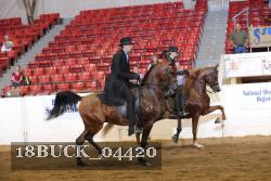 18BUCK_04420 proof