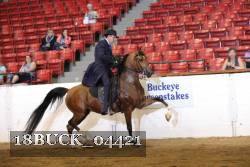18BUCK_04421 proof