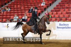18BUCK_04422 proof
