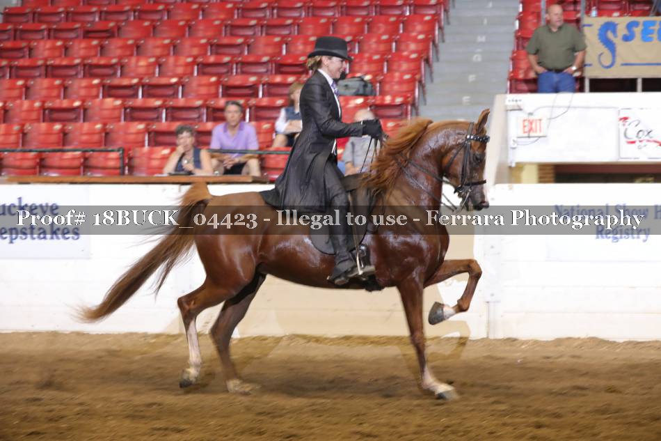 Proof 18BUCK_04423