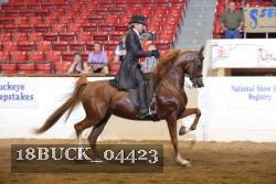 18BUCK_04423 proof