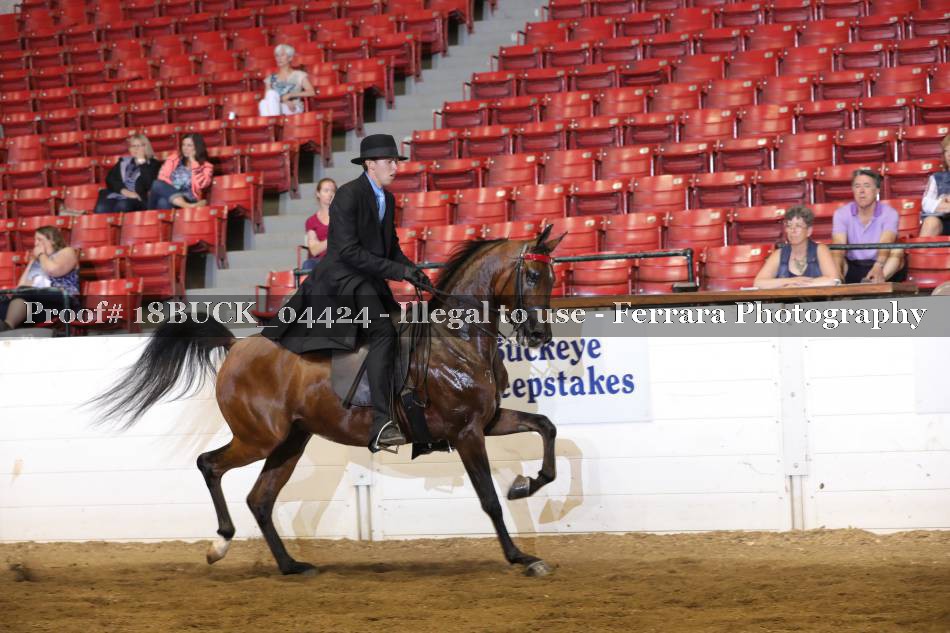 Proof 18BUCK_04424