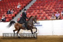18BUCK_04424 proof
