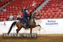 18BUCK_04425 proof