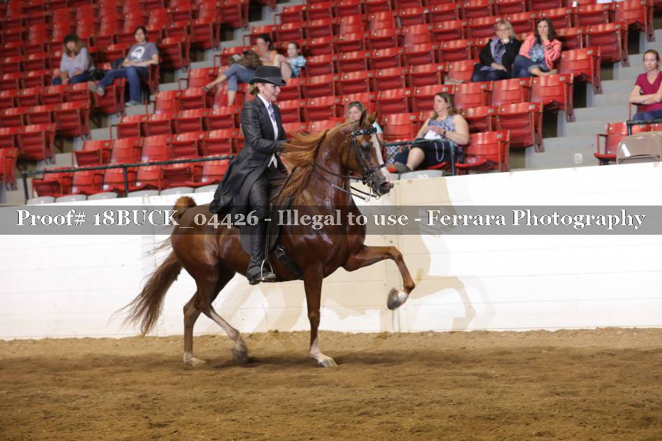 Proof 18BUCK_04426