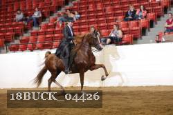 18BUCK_04426 proof