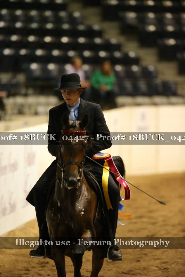 Proof 18BUCK_04427
