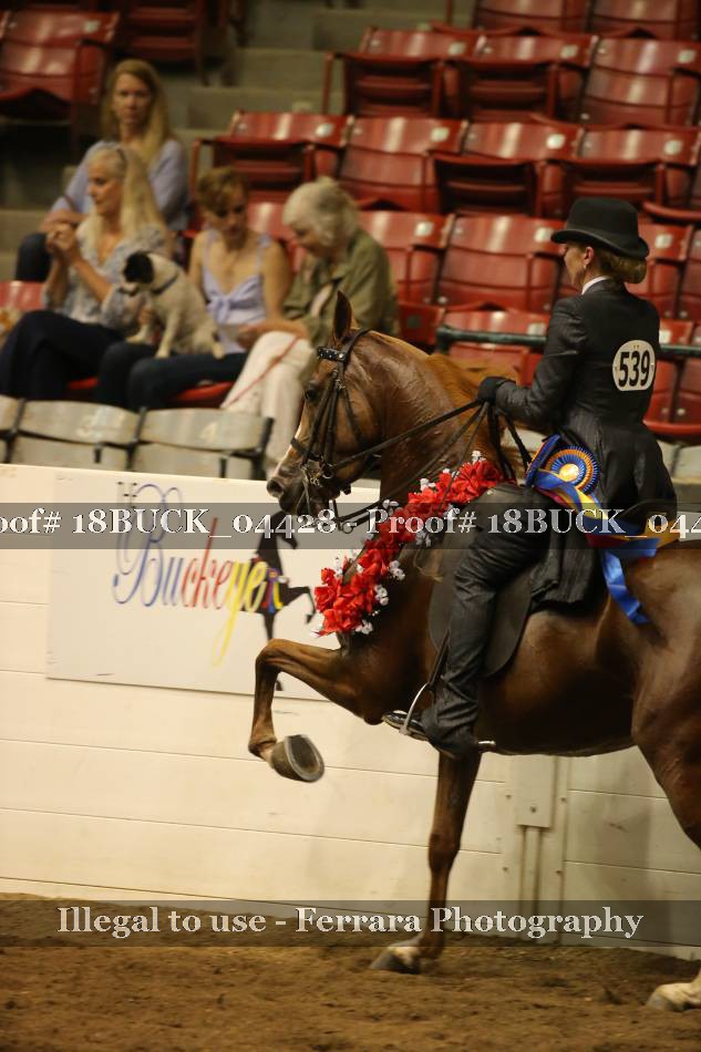 Proof 18BUCK_04428