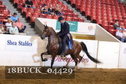 18BUCK_04429 proof