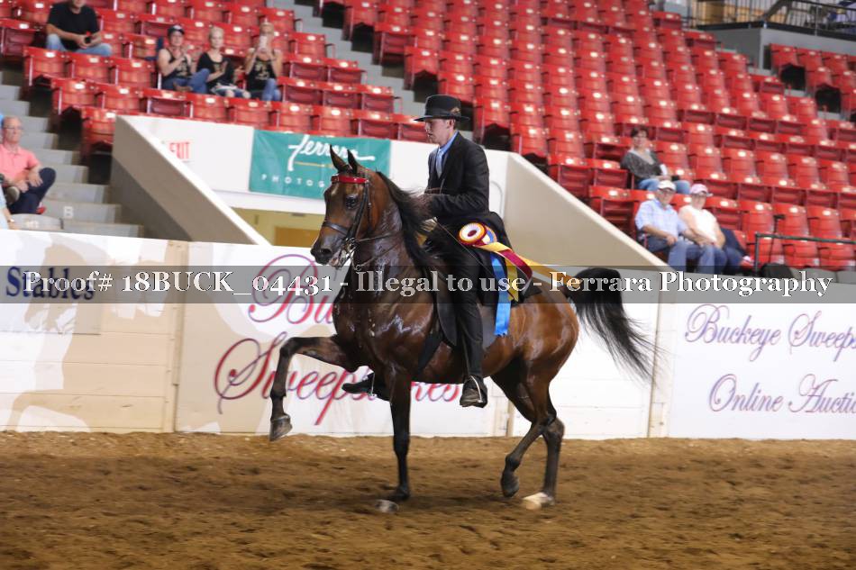 Proof 18BUCK_04431