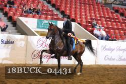 18BUCK_04431 proof