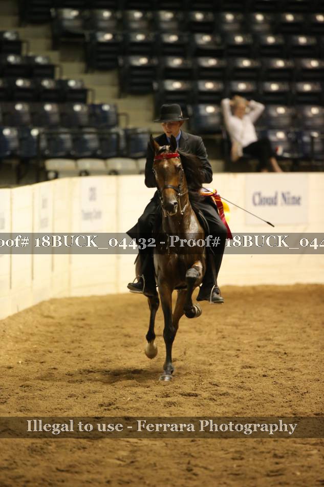 Proof 18BUCK_04432