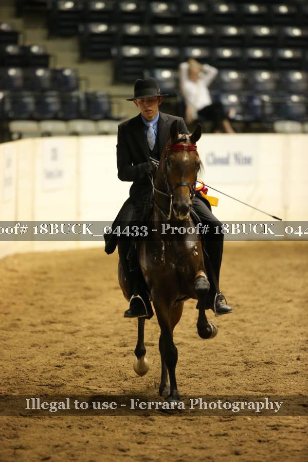 Proof 18BUCK_04433