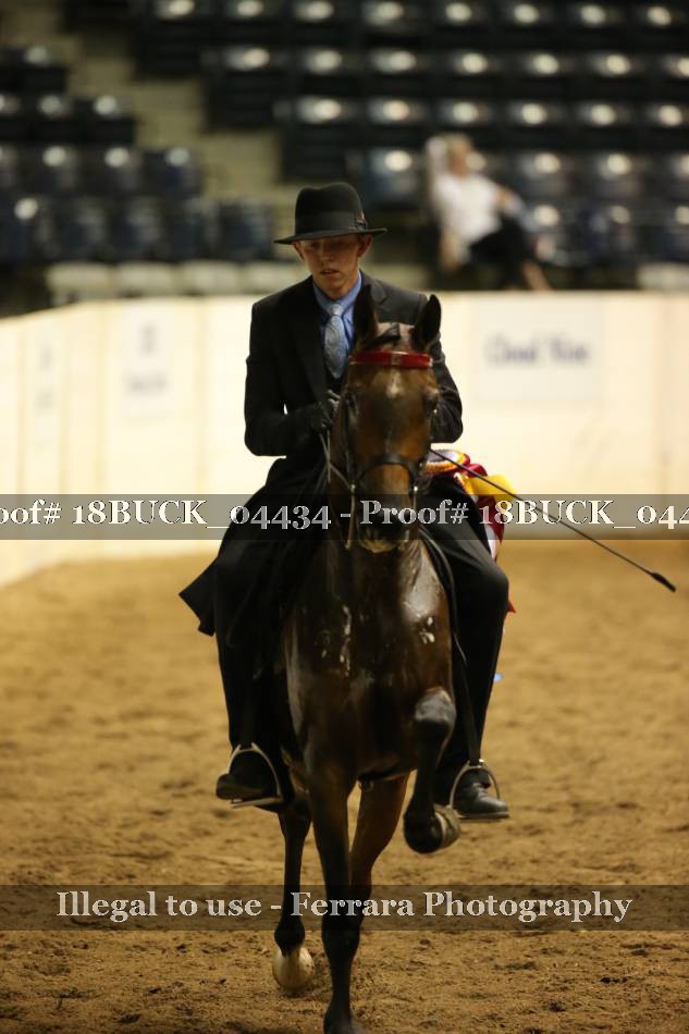 Proof 18BUCK_04434
