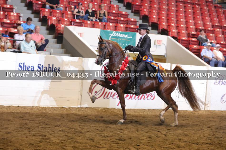 Proof 18BUCK_04435