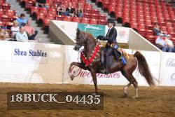 18BUCK_04435 proof