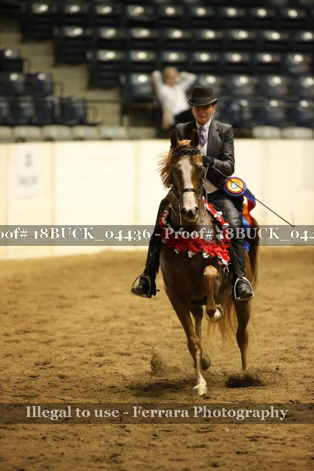 Proof 18BUCK_04436