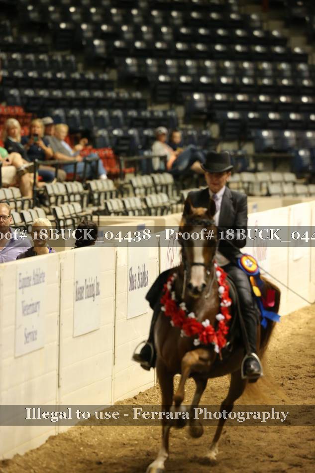 Proof 18BUCK_04438