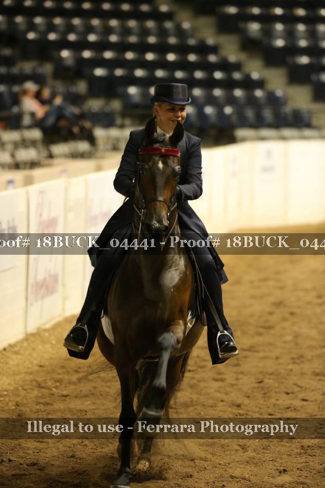 Proof 18BUCK_04441